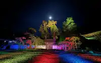 松島月夜，探訪國寶