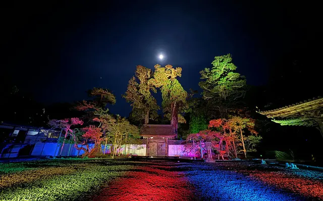 松島月夜，探訪國寶
