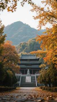 來三峽！聽江濤拍岸！三天兩晚旅遊攻略