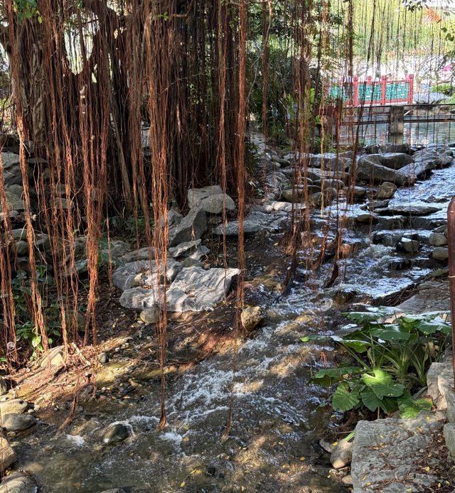 中式西式絕景全打卡