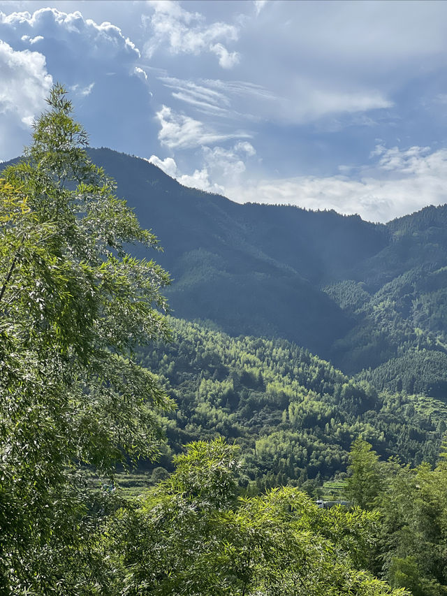 打卡浙江一個遺落在大山裡的夢｜附攻略