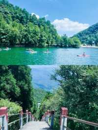 玩轉台北後花園！陽明山國家公園超全攻略