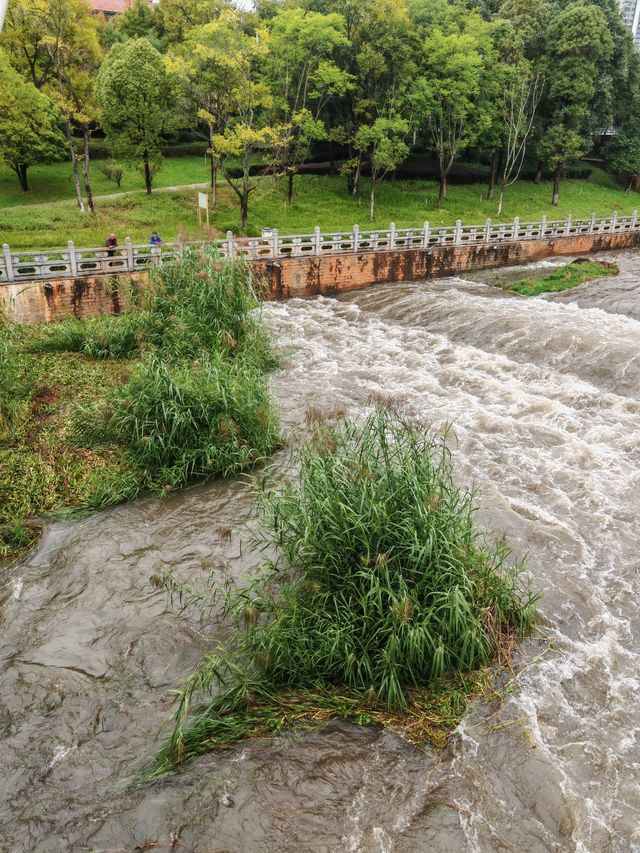雨後仙境！昆明瀑布公園的秋日限定風景