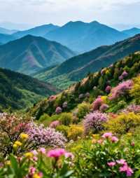 江西的田園烏托邦|是逃離城市喧囂、擁抱山野慢生活的小眾寶藏地