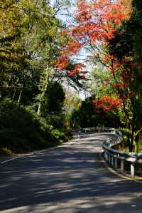 墜入秋天的童話天台山秋日漫遊指南
