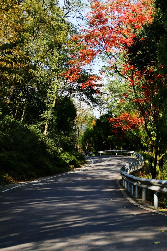墜入秋天的童話天台山秋日漫遊指南