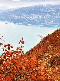 重慶三峽在紅葉漫江時邂逅最詩意的長江