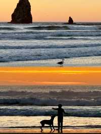 俄勒岡隱藏玩法哥倫比亞河峽谷自駕攻略瀑布+公路絕美