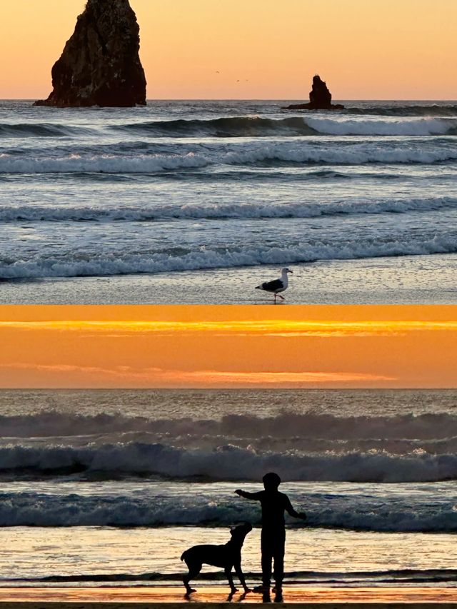 俄勒岡隱藏玩法哥倫比亞河峽谷自駕攻略瀑布+公路絕美 俄勒岡隱藏玩法哥倫比亞河峽谷自駕攻略瀑布+公路絕美