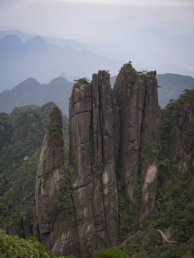 絕了！三清山的秋天美得不像話！雲海梯田爬山攻略