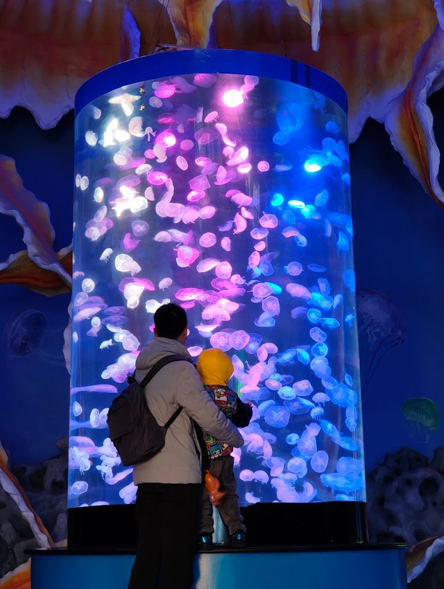 永泰歐樂堡福州版海洋王國 永泰歐樂堡福州版海洋王國