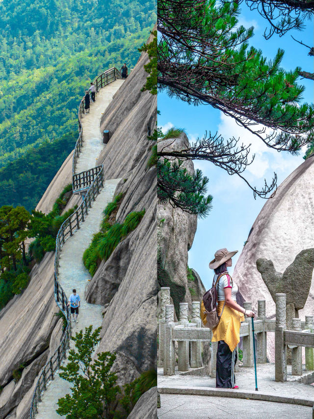 浙江藏著500年明代廊橋！《劍來》原型美成煙雨仙境