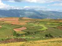 油菜花海徒步攻略