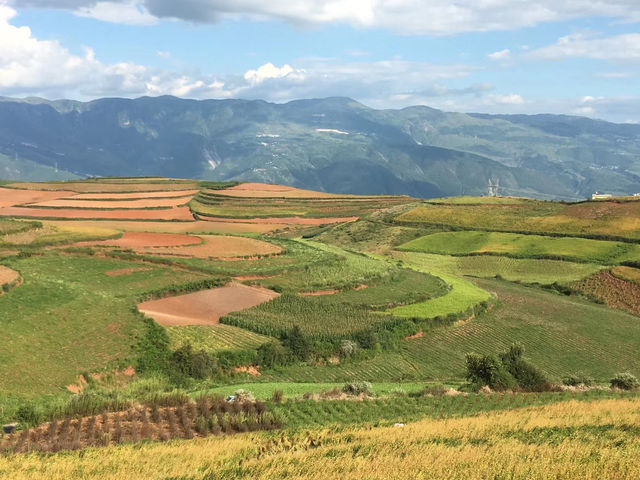 油菜花海徒步攻略