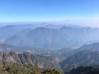 聽我的，不費腿看美景