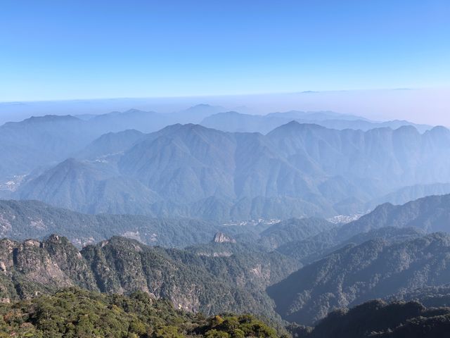 聽我的，不費腿看美景