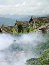 北回歸線的綠洲上,邂逅茶香與咖啡香