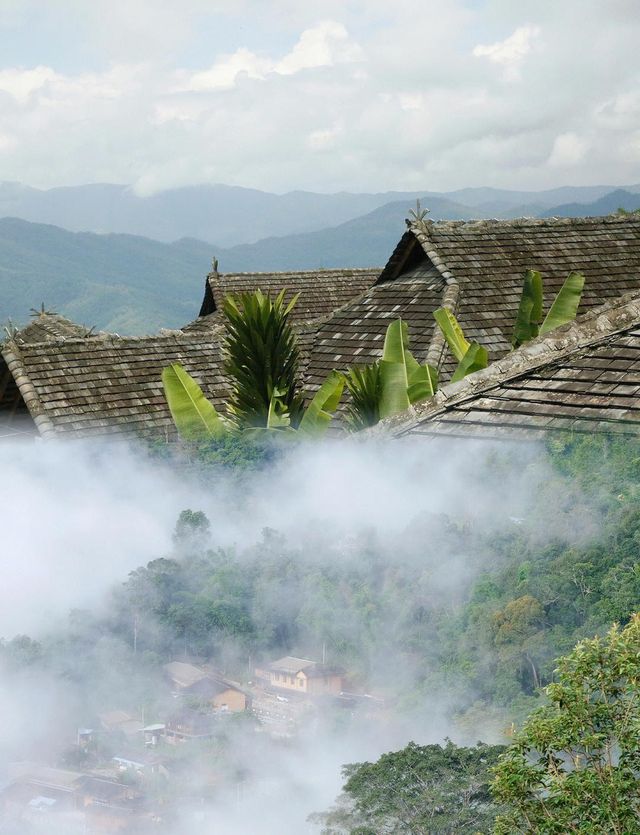北回歸線的綠洲上,邂逅茶香與咖啡香 北回歸線的綠洲上,邂逅茶香與咖啡香