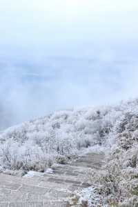 24年千佛山下雪後美哭了！絕美霧淞仙境快來打卡