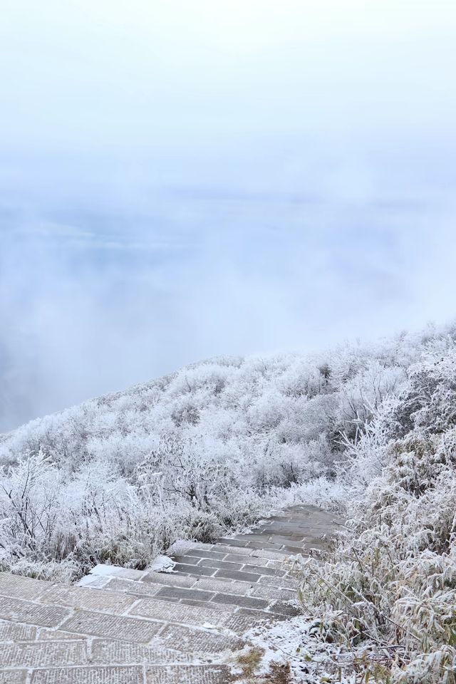 24年千佛山下雪後美哭了！絕美霧淞仙境快來打卡