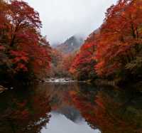 秋日限定！南江十八月潭，藏在秦巴的彩色仙境