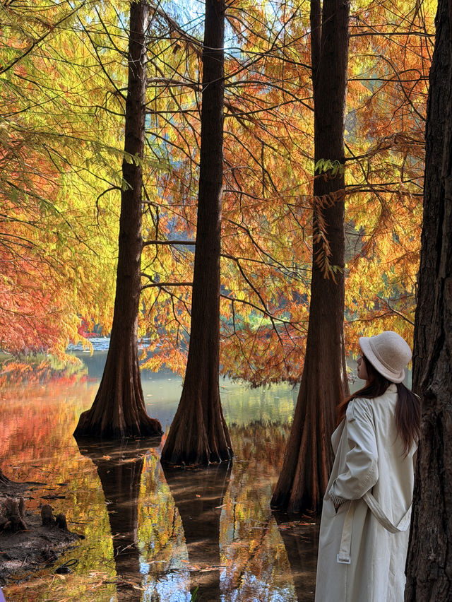 燕雀湖+明孝陵隱藏路線！99%人不知道的絕美秘境