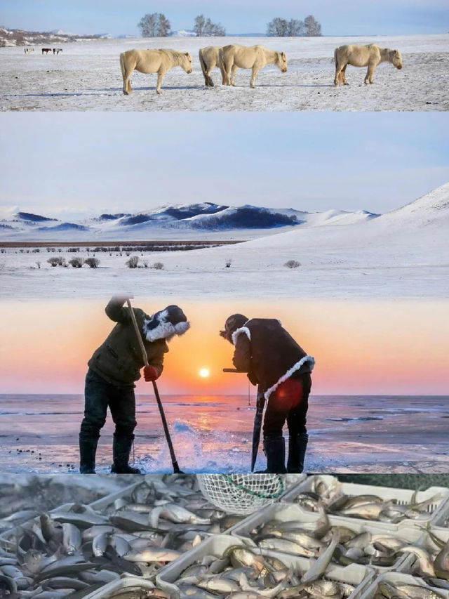 烏蘭布統雪原絕了人少景美的冬日童話世界！