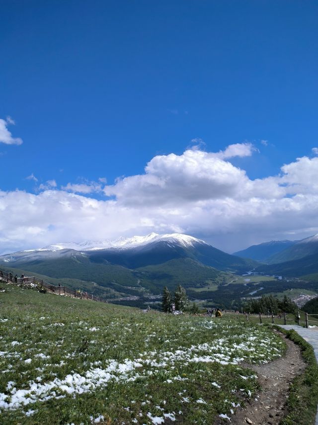 被喀納斯的美震撼到說不出話這才是新疆旅遊的天花板,阿勒泰皇冠上的明珠說的就是這裡吧 【必 被喀納斯的美震撼到說不出話這才是新疆旅遊的天花板,阿勒泰皇冠上的明珠說的就是這裡吧 【必