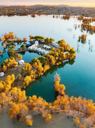 Enjoy the Golden Feast of Ejina, Alxa, Inner Mongolia