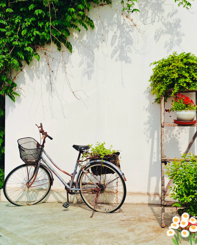 禪意江南必去打卡地 禪意江南必去打卡地