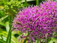 藏在貴州的 “高山小草原”，騎馬看雲超治癒！  貴州一處能 “假裝在內蒙古” 的寶藏地 —— 二台坡