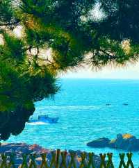 好想在海邊定居，雖然魚腥味有點重