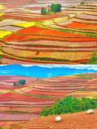 《國家地理》沒騙我12月的元陽梯田