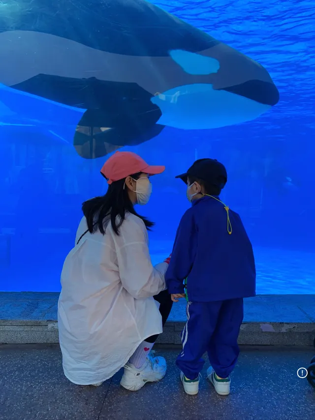 悠閒帶娃|上海海昌海洋公園不廢媽攻略 悠閒帶娃|上海海昌海洋公園不廢媽攻略