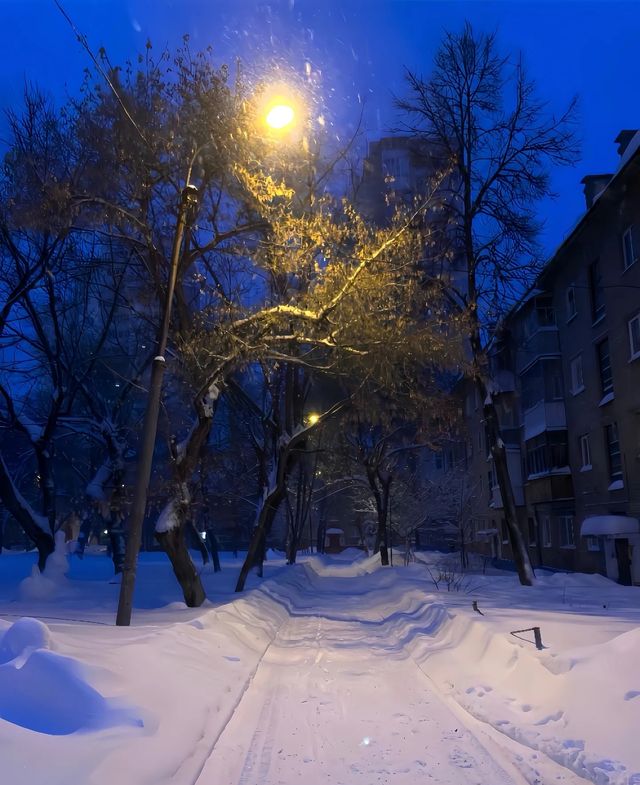 被極光親吻過的北國淨土，雪峰與森林交織成花卷。—挪威