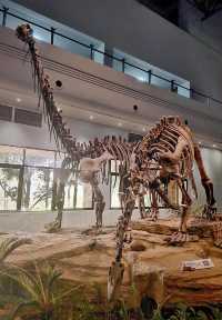 穿越兩億年的溫柔叩門聆聽時間破碎的聲音