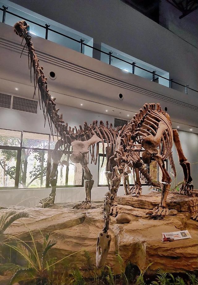 穿越兩億年的溫柔叩門聆聽時間破碎的聲音 穿越兩億年的溫柔叩門聆聽時間破碎的聲音