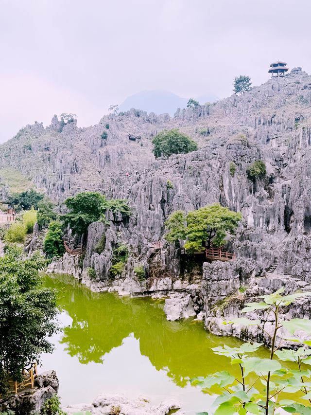 闖進了國家地理雜誌中的同款異域星球~ 闖進了國家地理雜誌中的同款異域星球~