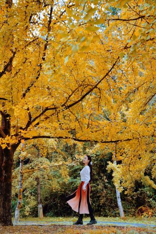 Next up is the ultimate autumn viewing spot in Guangdong…