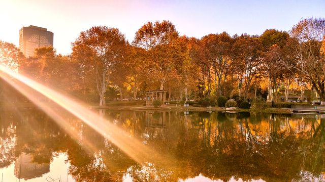 斑斕調色盤,律動生活詩--武漢解放公園秋色 斑斕調色盤,律動生活詩--武漢解放公園秋色