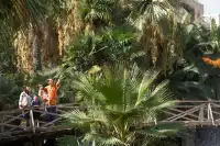 穿行阿爾布費拉自然公園，遇見自然本真