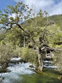 阿壩2日遊保姆攻略|避坑+必玩全收錄