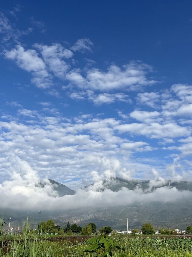 秋天去涼山-麗江這份攻略讓我美到不想走
