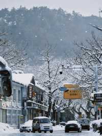 江西降溫了，又想念廬山的雪了|||作為南方人，從小對雪就