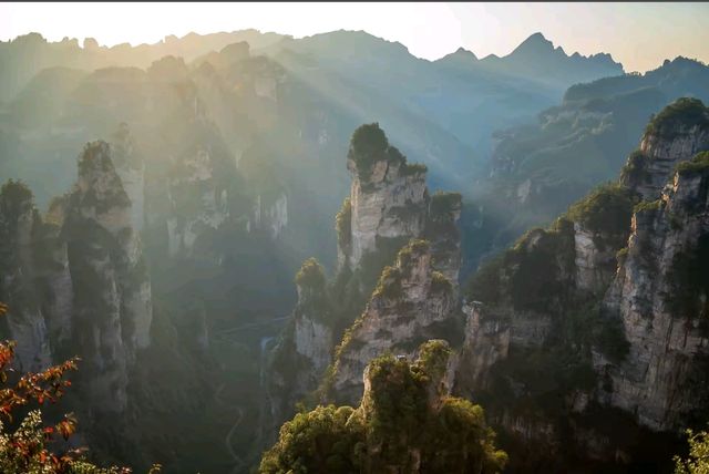 2. 拒絕繞路!張家界國家森林公園+天門山環線,新手也能衝 2. 拒絕繞路!張家界國家森林公園+天門山環線,新手也能衝