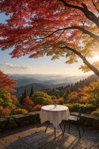 美到窒息！我在莫干山撿到了整座秋天