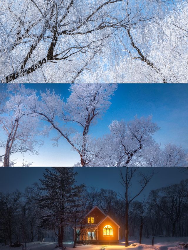 人這一輩子總要去松花江看一次霧淞吧 人這一輩子總要去松花江看一次霧淞吧