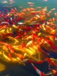 連續兩年九華山了  這份詳細攻略請收好