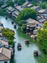 “我本無意入江南,奈何江南入我心”