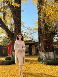 闖入福建深山!在銀杏高老莊做一日神仙